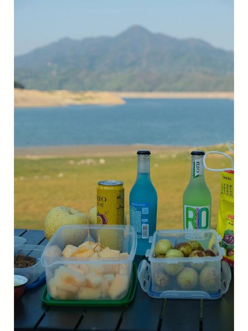 《郊游》幼儿歌优秀教案