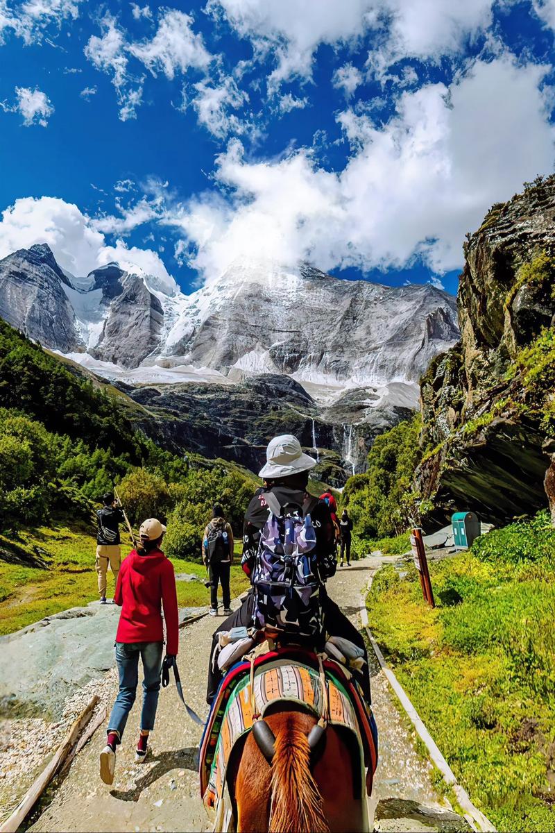 去旅游景点没带身份证怎么办 去旅游景点没带身份证怎么办