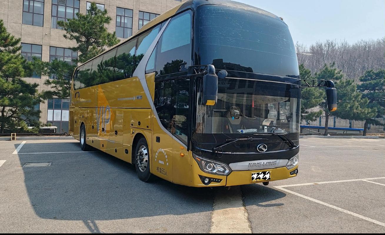 coach和economy区别 coach和economy区别